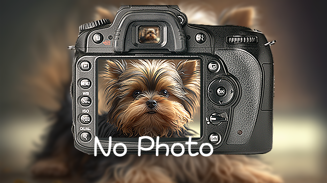 No photo