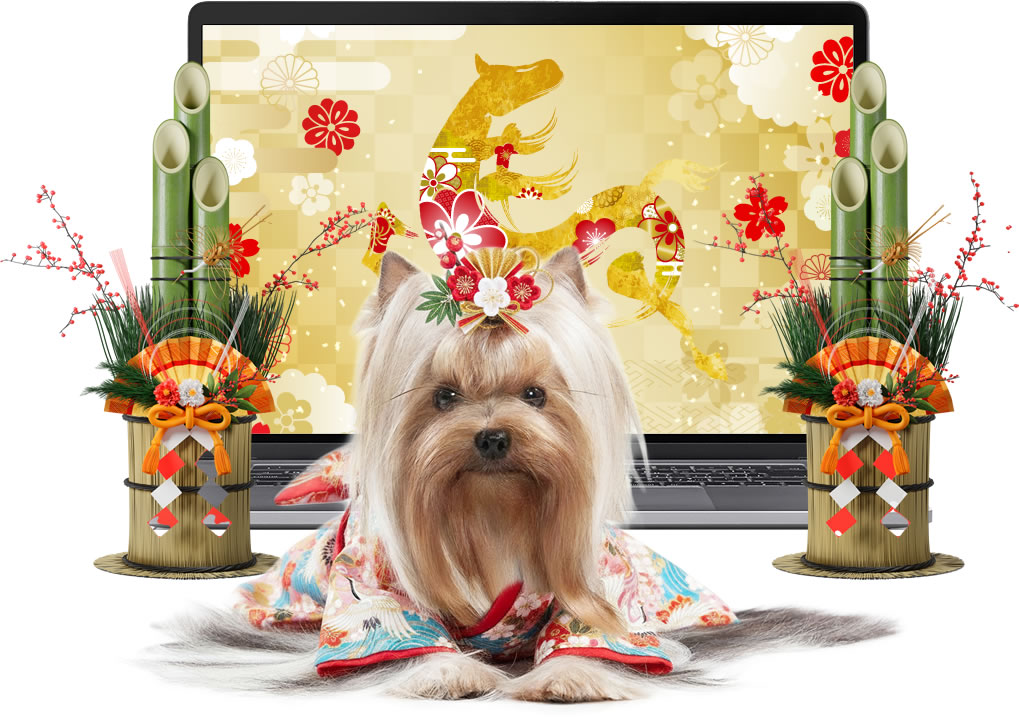 ヨークシャーテリアのお正月挨拶